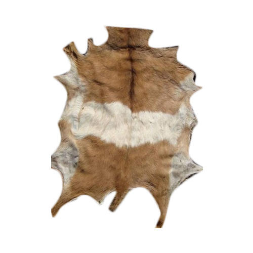 goat-skin-leather-500x500