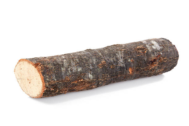 Firewood on white background