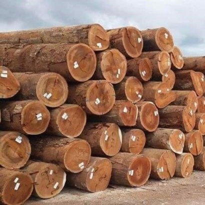 round-teak-wood-logs-200-w410