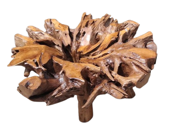 Screenshot_2-removebg-preview Screenshot_2-removebg-preview